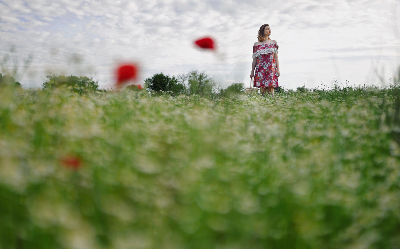 Field 05 1600px